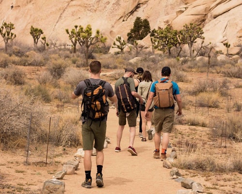 Pilgrimage Tours